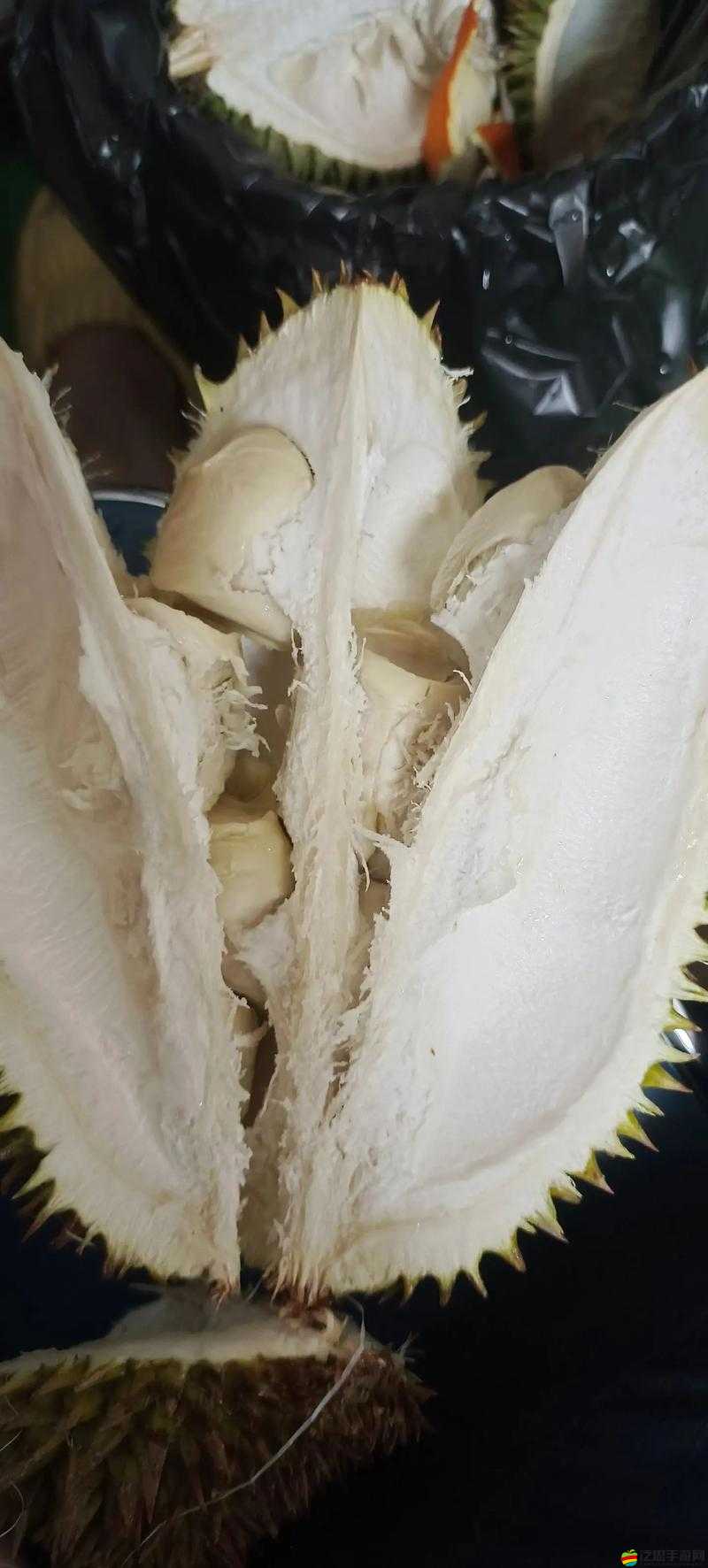 榴蓮香蕉草莓向日葵絲瓜秋葵開設全新視頻欄目了：一起探索未知的世界