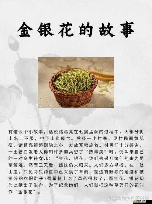 小尾巴 TXT 金銀花原文及其影響終于不再限制：揭秘背后的故事