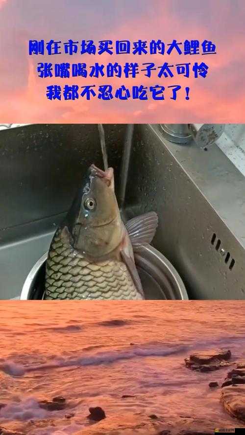 女人絕技：鯉魚喝水究竟是何種奇妙感受呢