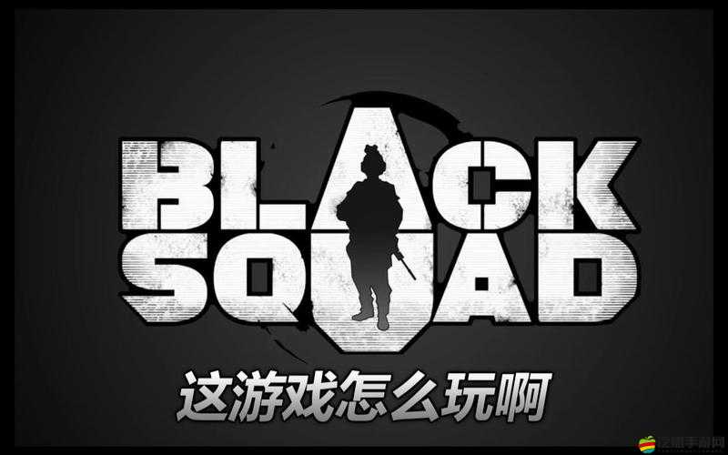 深入剖析黑色小隊模式，策略、技巧與團隊合作的全面解析