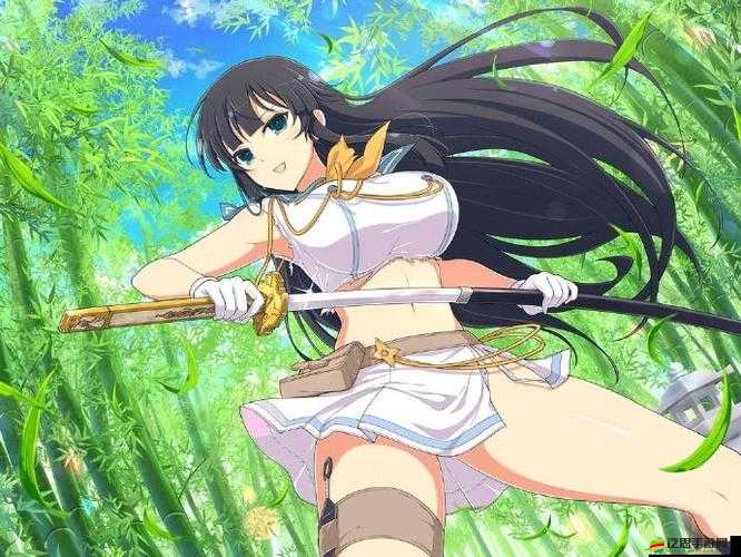 閃亂神樂Burst Re，Newal深度角色揭秘，展現忍者少女熱血戰斗與溫柔情感
