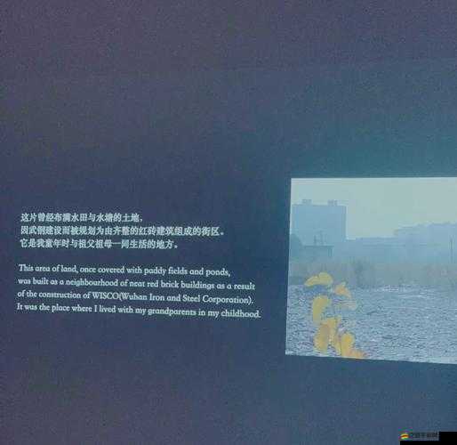 深入探索觀測號核心秘密，關鍵回憶引領的Observation記憶奇妙之旅