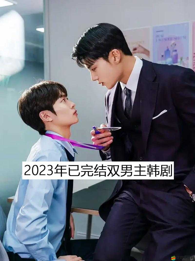 雙男主攜手勇闖神秘世界開啟未知驚險刺激之旅