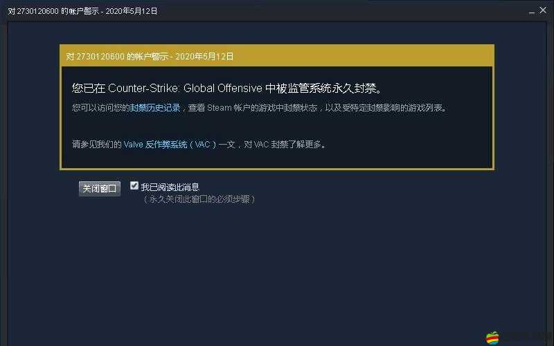 55 歲大媽玩 csgo 被封打不開(kāi)：游戲封禁背后的無(wú)奈與困惑