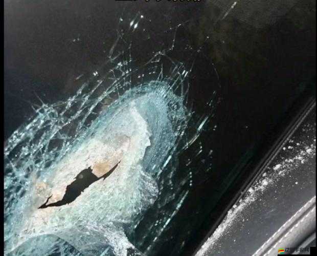 被壓到落地玻璃窗前的驚險一幕：究竟發生了什么