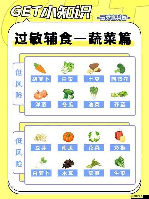 豐盛多彩的草莓香蕉絲瓜秋葵香草：營養豐富的奇妙組合食材