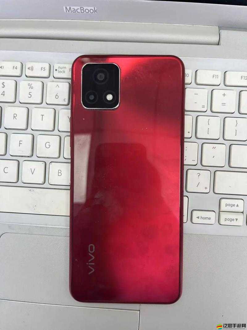 成色好的 Y31S 標(biāo)準(zhǔn)版視頻：詳細(xì)介紹與精彩展示及使用體驗(yàn)分享