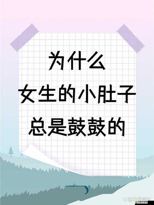 ：吃撐的小肚子：從癟癟到鼓鼓的奇妙變化
