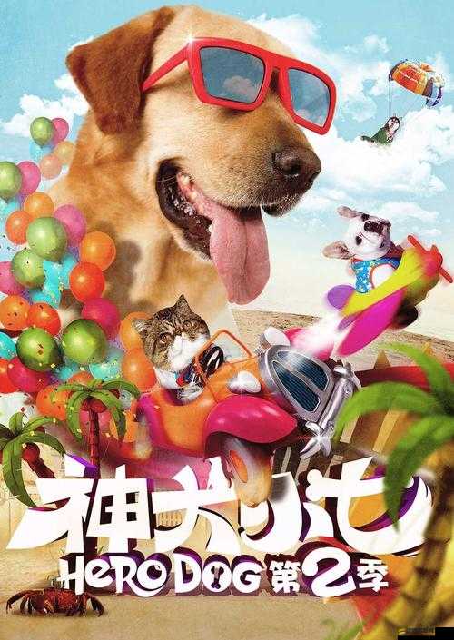 神犬小七2幼犬成長(zhǎng)全解析，新手養(yǎng)狗必備，小七的成長(zhǎng)秘籍與攻略
