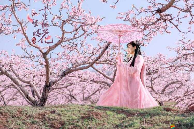 十里桃花游戲深度解析，守衛(wèi)炎華洞玩法特色與攻略指南