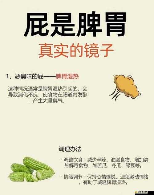 探秘 14MAY18-XXXXXL 放屁：深入挖掘背后的秘密與成因
