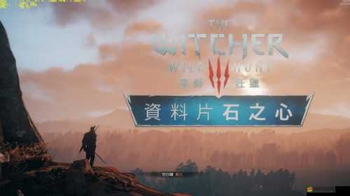 水滸傳英雄攻略深度解析，巫師角色玩法與個(gè)人心得全面分享