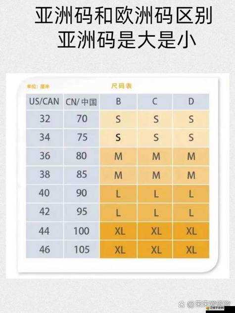 亞洲尺碼和歐洲尺碼對(duì)照工具箱：精準(zhǔn)匹配尺碼的實(shí)用指南