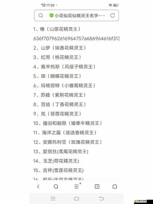 全面解析精靈王產品，探索其獨特魅力與卓越性能的深度介紹