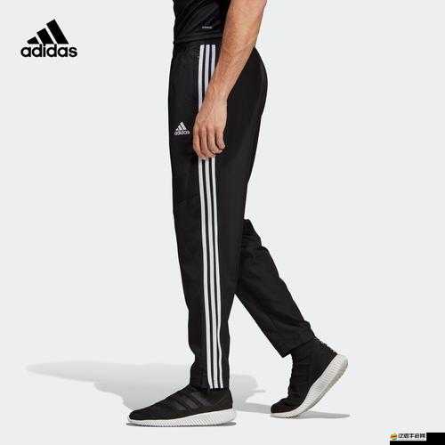 adidas 高清視頻：展現(xiàn)運動魅力與品質(zhì)的精彩呈現(xiàn)