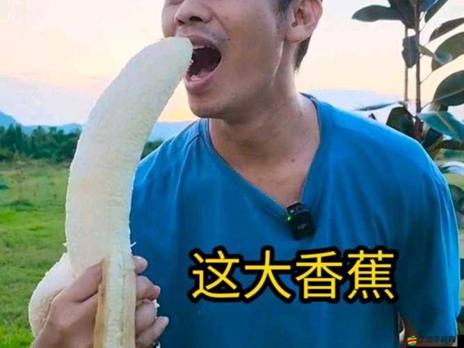 亞洲香蕉夜夜草：探索性與的邊界