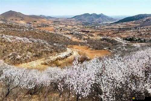 大地資源在線觀看中文第二頁：精彩內容持續呈現等您來賞