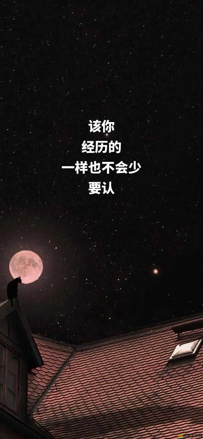 驚嘆719Y 你會回來感謝我的吸引眼球的作品，帶你領略前所未有的震撼體驗
