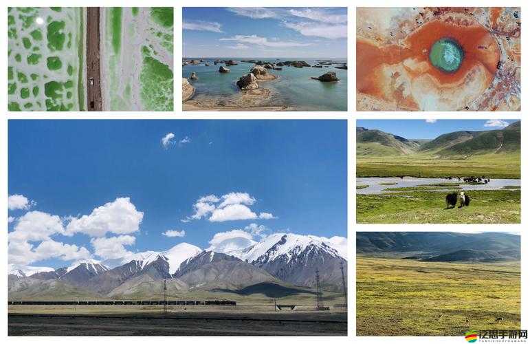 可可西里大但人文藝術：探索其獨特魅力與深厚內涵及廣闊前景