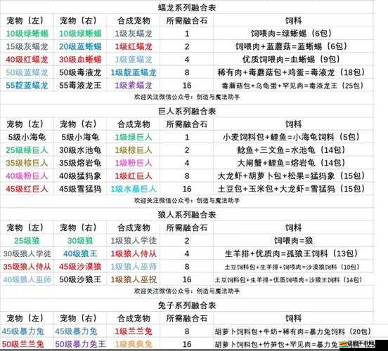 全面解析，仙寵物進(jìn)階必備攻略，助你打造頂級(jí)寵物伙伴