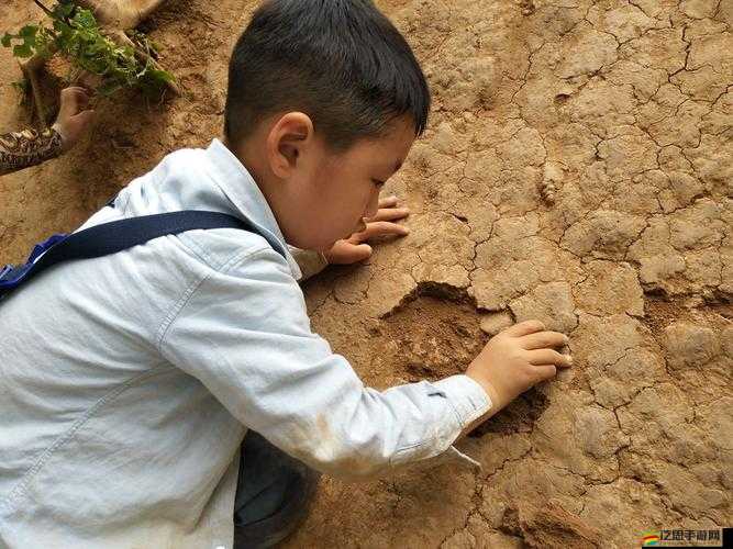 小明通道通道通道三的奇妙探索之旅