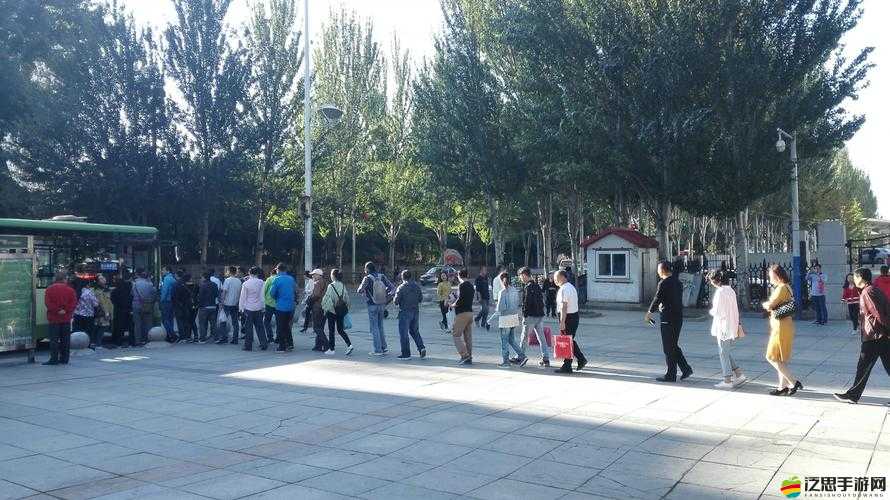 公交車車站最后一排：多人游戲的神秘角落