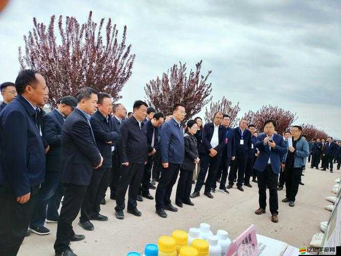深入解析岐山軍團，歷史背景、成員構成及影響力全面介紹
