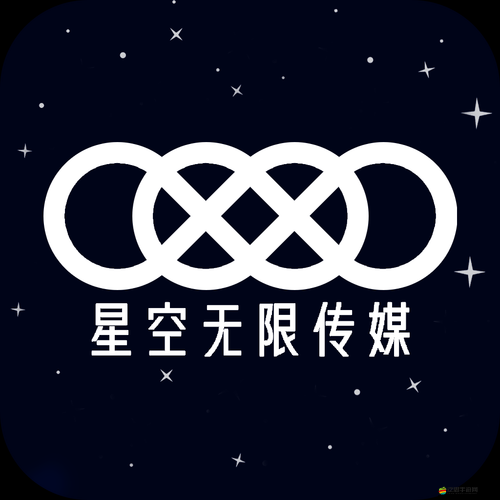 麻花星空無限傳媒有限公司：引領(lǐng)行業(yè)創(chuàng)新的璀璨之星