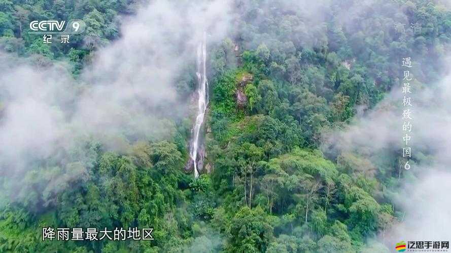B 站好看的紀(jì)錄片免費(fèi)：帶你領(lǐng)略精彩世界的真實(shí)影像之旅