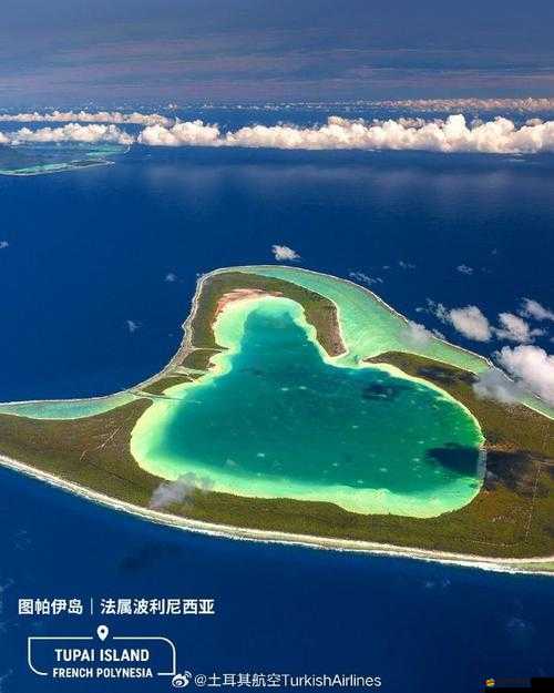 愛島視頻：一場跨越時空的浪漫之旅