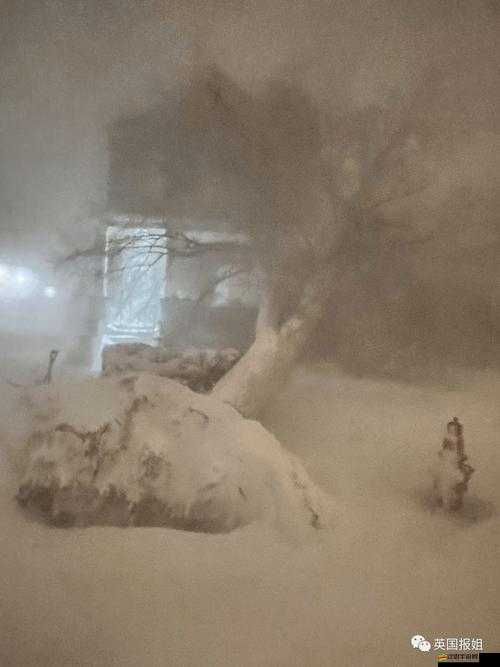 2025年春節前夕，危機四伏暴風雪后，在末日廢墟中勇敢尋覓生存之光