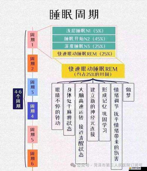 深入剖析，大學生活中的睡眠階段，揭示生活真相與睡眠質(zhì)量的關系