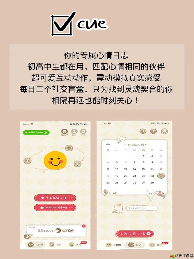 揭秘生活真相，大學(xué)食堂的多樣玩法與實用攻略指南