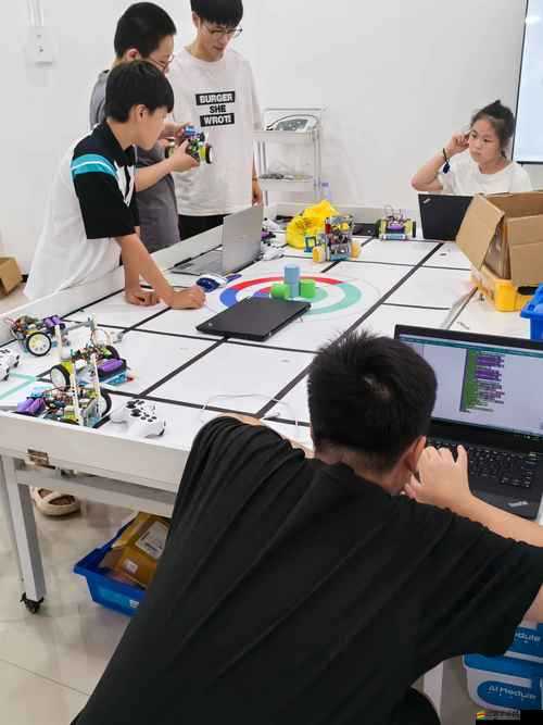 代號生機，建造藍圖深度剖析，探索2025年春節前夕未來生存游戲的無限創新可能