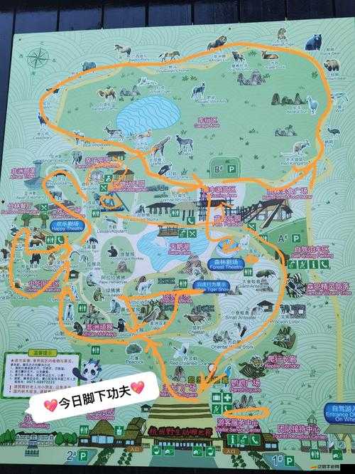 動物公園新手必看，全面解鎖游玩樂趣的入門攻略指南