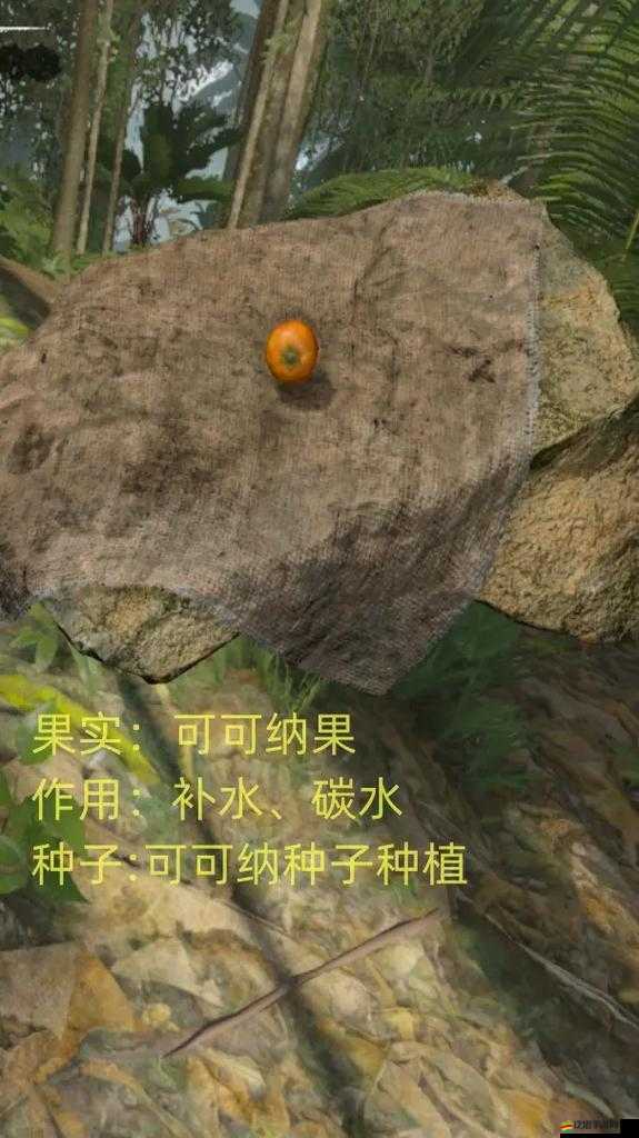叢林地獄前期生存技巧與綠色地獄游戲開局策略全面介紹