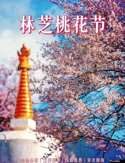全面解析，我的小家桃花節劇情攻略與浪漫邂逅指南