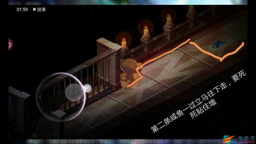 寶石研物語血緣之證深度攻略，全面解鎖迷宮開關的秘籍與技巧大公開