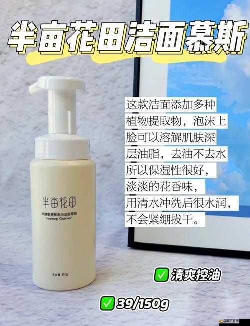 眾生游游戲攻略，掌握秘訣，讓你的角色清潔值瞬間煥發光彩