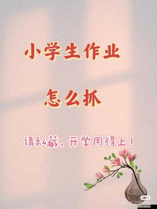 中國式班主任游戲攻略，全面解析第一關假期作業挑戰與技巧