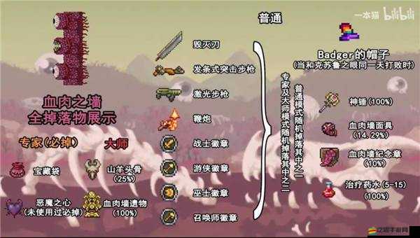 2025年春節后泰拉瑞亞骷髏王挑戰失敗翻盤秘籍大放送！