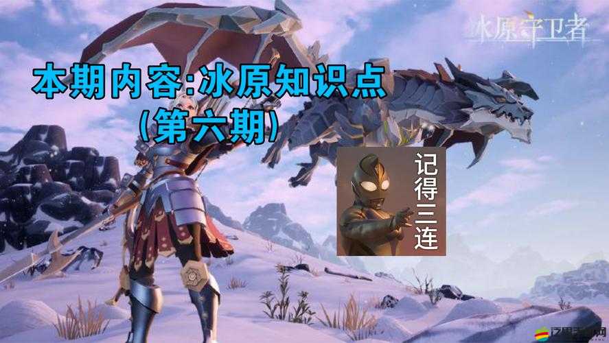 冰原守衛者中濕漉漉的鞋的特殊用途及其重要性解析