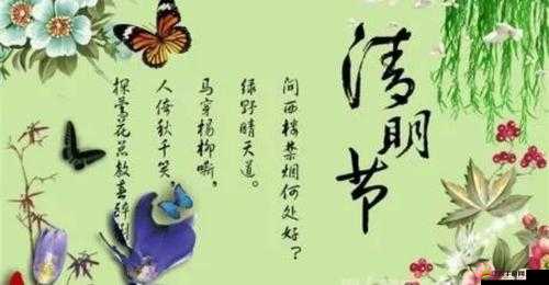 臥虎藏龍遇白龍馬，一場融合傳統與現代的文化深度探尋之旅