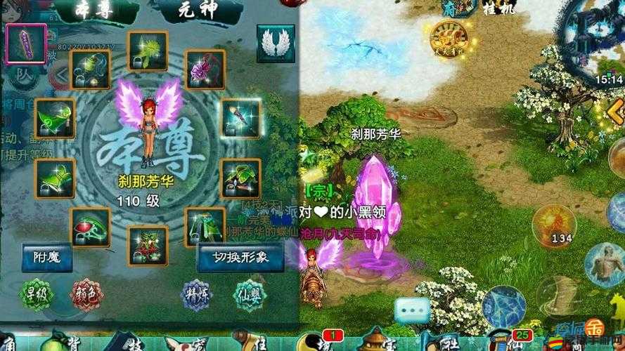 忘仙游戲攻略，全面掌握方法與技巧，輕松開啟寵物與角色天賦技能提升戰斗力