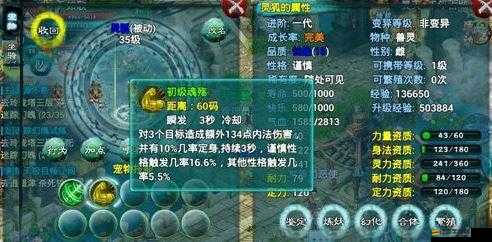 詳解忘仙祝福丹的使用方法及其在游戲中的功效與應用