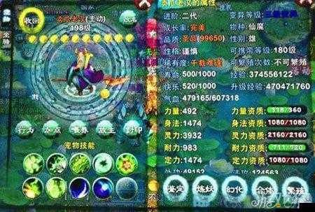 忘仙斗羅游戲中玩家應該如何選擇并攜帶最佳輔助寵物攻略