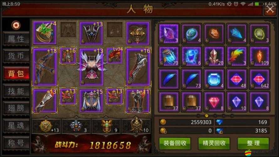 全民奇跡游戲攻略，詳解5轉100級升級方法與技巧