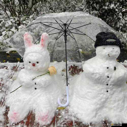 亂斗西游游戲攻略，全面解析如何獲取可愛寵物雪人寶寶的方法