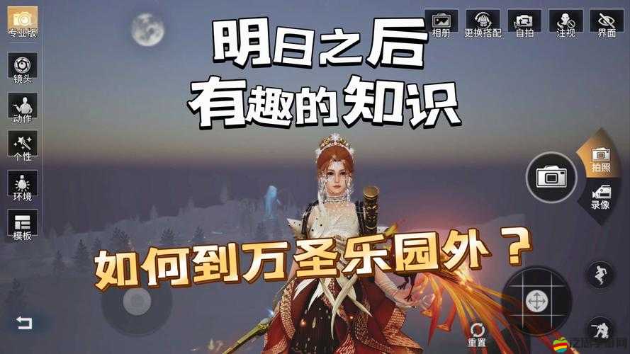 明日之后浪漫新篇章，解鎖玫瑰花贈送秘籍，讓愛意再升級