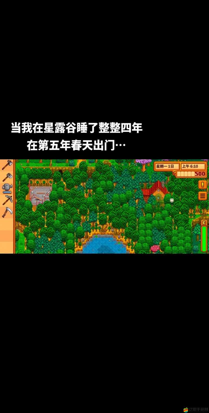 星露谷物語深度解析，尋覓真愛之旅，與心儀對(duì)象共筑田園夢(mèng)想